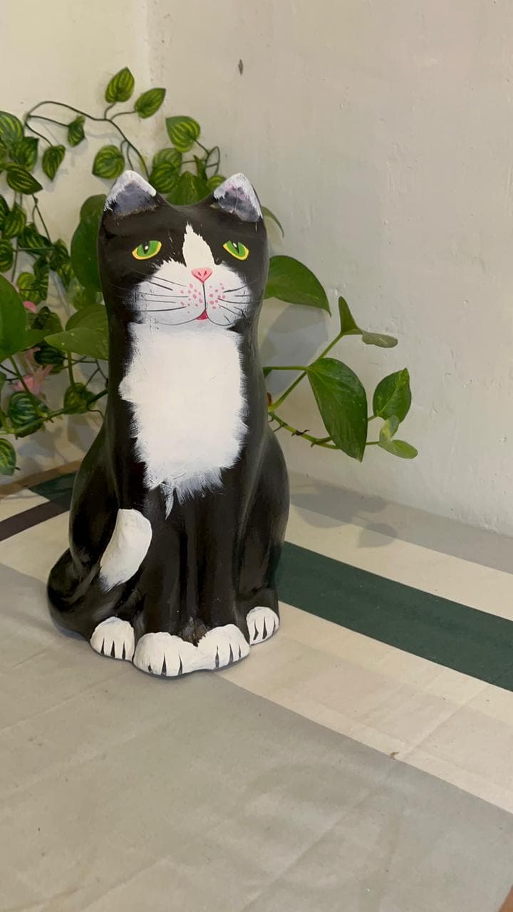 පුසා Cat
